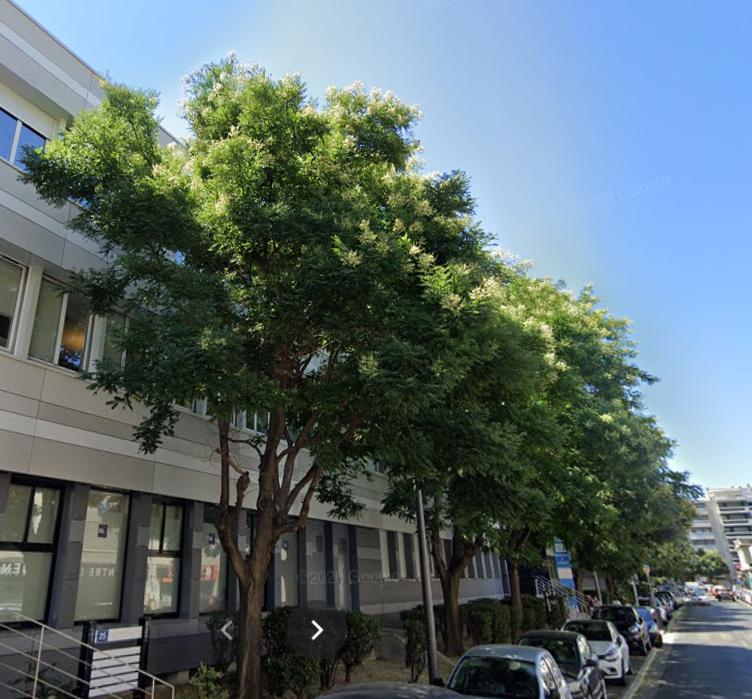 Bureau Marseille 633m² Location bureau Marseille Bouches-du-Rhône OLBUR2114821 1